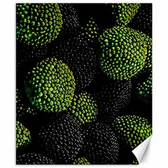 Berry,note, Green, Raspberries Canvas 8  X 10  by nateshop