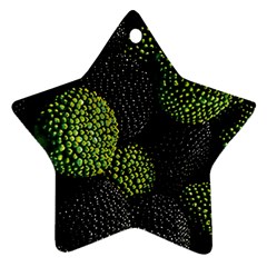 Berry,note, Green, Raspberries Star Ornament (two Sides) by nateshop