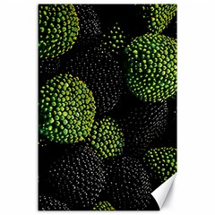 Berry,note, Green, Raspberries Canvas 24  X 36  by nateshop