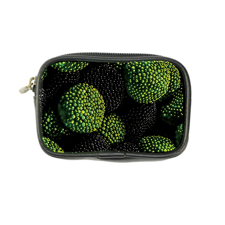 Berry,note, Green, Raspberries Coin Purse