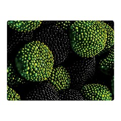 Berry,note, Green, Raspberries Two Sides Premium Plush Fleece Blanket (mini) by nateshop