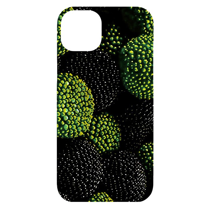 Berry,note, Green, Raspberries iPhone 14 Plus Black UV Print Case
