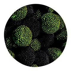 Berry,note, Green, Raspberries Round Glass Fridge Magnet (4 Pack) by nateshop