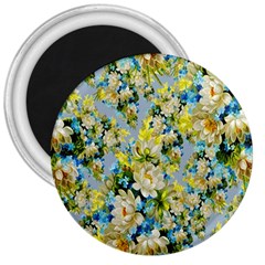 Background-flowers 3  Magnets