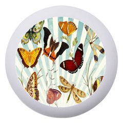 Butterfly-love Dento Box With Mirror