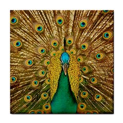 Peacock Feather Bird Peafowl Tile Coaster