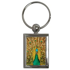 Peacock Feather Bird Peafowl Key Chain (rectangle)