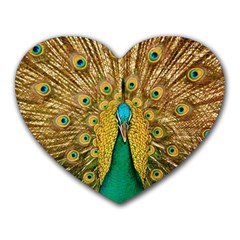 Peacock Feather Bird Peafowl Heart Mousepad