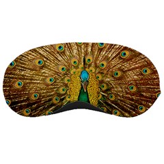 Peacock Feather Bird Peafowl Sleep Mask