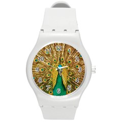 Peacock Feather Bird Peafowl Round Plastic Sport Watch (m)