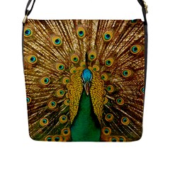 Peacock Feather Bird Peafowl Flap Closure Messenger Bag (l)