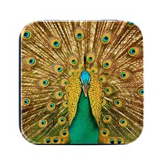 Peacock Feather Bird Peafowl Square Metal Box (black) by Cemarart