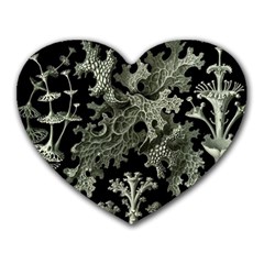 Weave Haeckel Lichenes Photobionten Heart Mousepad