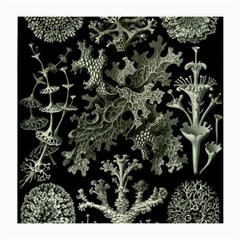 Weave Haeckel Lichenes Photobionten Medium Glasses Cloth (2 Sides)