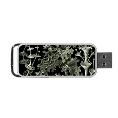 Weave Haeckel Lichenes Photobionten Portable Usb Flash (two Sides)