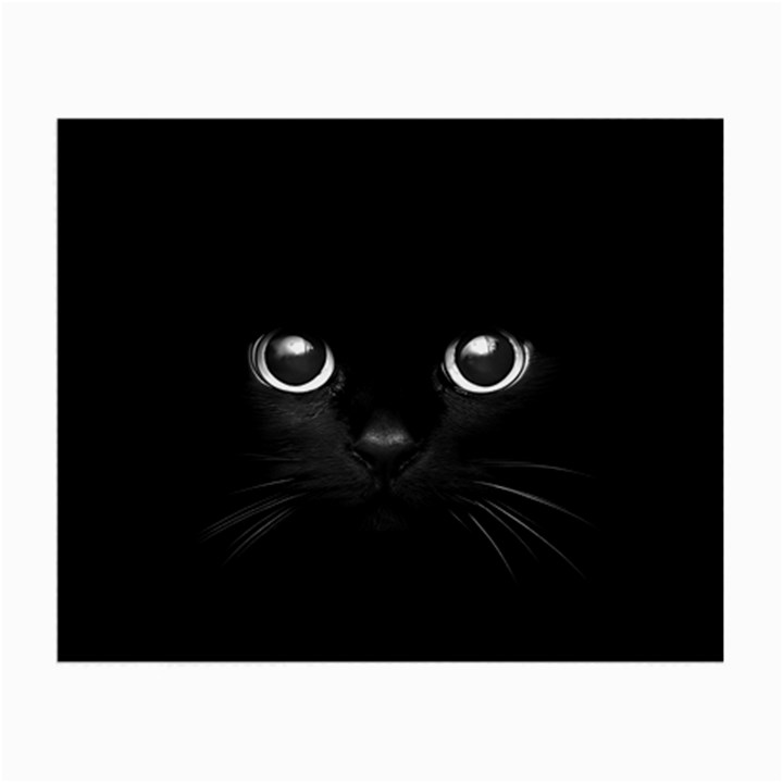 Black Cat Face Small Glasses Cloth (2 Sides)