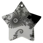 Males Mandelbrot Abstract Almond Bread Ornament (Star) Front