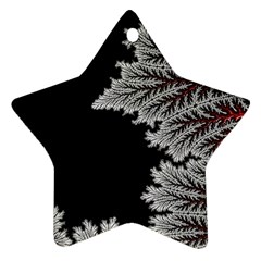 Abstract Complex Fractal Math Star Ornament (two Sides)
