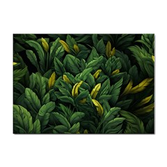 Banana Leaves Sticker A4 (10 Pack) by goljakoff