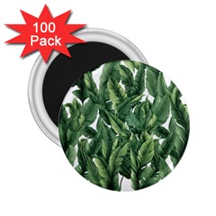 Green Banana Leaves 2 25  Magnets (100 Pack) 