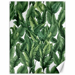 Green Banana Leaves Canvas 12  X 16 
