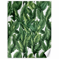 Green Banana Leaves Canvas 18  X 24 