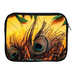 Japan Art Artwork Asia Drawing Lake Landscape Mountain Nature Oriental Apple Ipad 2/3/4 Zipper Cases by Cemarart