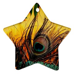 Peacock Feather Native Ornament (star) by Cemarart