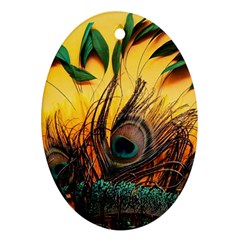 Peacock Feather Native Oval Ornament (two Sides)