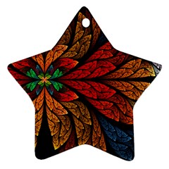 Fractals, Floral Ornaments, Rings Star Ornament (two Sides)