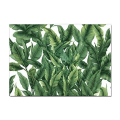 Tropical Leaves Sticker A4 (10 Pack) by goljakoff