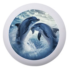 Dolphins Sea Ocean Water Dento Box With Mirror