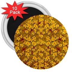 Blooming Flowers Of Lotus Paradise 3  Magnets (10 Pack) 