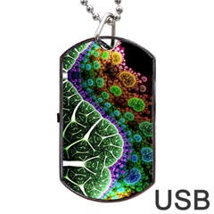 Digital Art Fractal Abstract Artwork 3d Floral Pattern Waves Vortex Sphere Nightmare Dog Tag Usb Flash (two Sides)