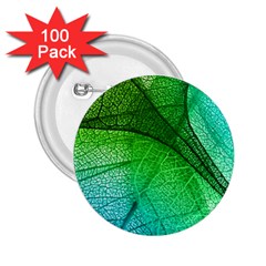 3d Leaves Texture Sheet Blue Green 2 25  Buttons (100 Pack) 