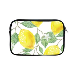 Fruit-2310212 Apple Macbook Pro 13  Zipper Case