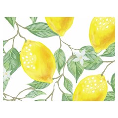 Fruit-2310212 Premium Plush Fleece Blanket (extra Small) by lipli