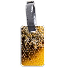 Honeycomb With Bees Luggage Tag (one Side) by Apen