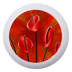 Flowers Red Dento Box With Mirror