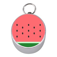 Watermelon Melon Fruit Healthy Food Meal Breakfast Lunch Juice Lemonade Summer Mini Silver Compasses