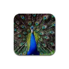 Peacock Bird Feathers Pheasant Nature Animal Texture Pattern Rubber Square Coaster (4 Pack)