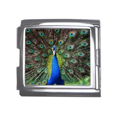 Peacock Bird Feathers Pheasant Nature Animal Texture Pattern Mega Link Italian Charm (18mm)