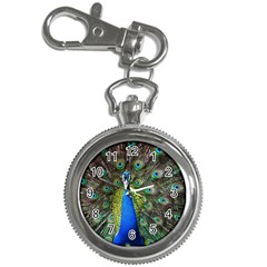 Peacock Bird Feathers Pheasant Nature Animal Texture Pattern Key Chain Watches