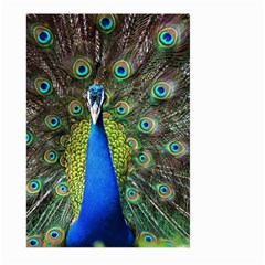 Peacock Bird Feathers Pheasant Nature Animal Texture Pattern Large Garden Flag (two Sides)