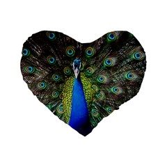 Peacock Bird Feathers Pheasant Nature Animal Texture Pattern Standard 16  Premium Flano Heart Shape Cushions