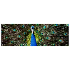 Peacock Bird Feathers Pheasant Nature Animal Texture Pattern Banner And Sign 9  X 3 