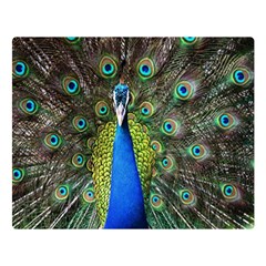 Peacock Bird Feathers Pheasant Nature Animal Texture Pattern Premium Plush Fleece Blanket (large) by Bedest