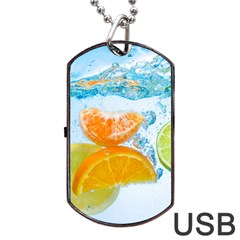 Fruits, Fruit, Lemon, Lime, Mandarin, Water, Orange Dog Tag Usb Flash (one Side) by nateshop