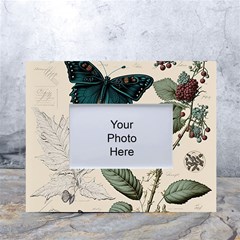 Butterflies Butterfly Botanical Nature Sketch Junk Journal Field Notes Paper Vintage Ephemera White Tabletop Photo Frame 4 x6 