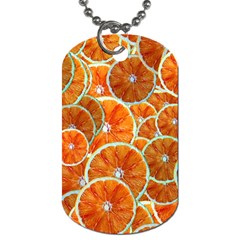 Oranges Patterns Tropical Fruits, Citrus Fruits Dog Tag (two Sides)